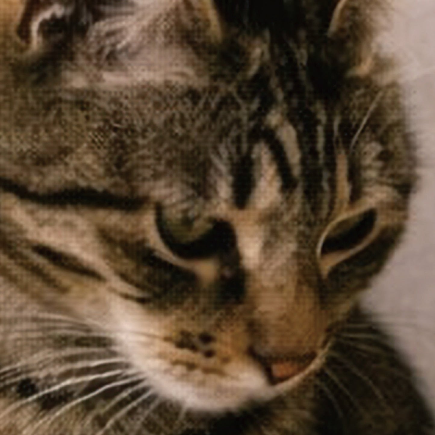 Close-up detail of Maneki Neko art print on museum-quality matte paper