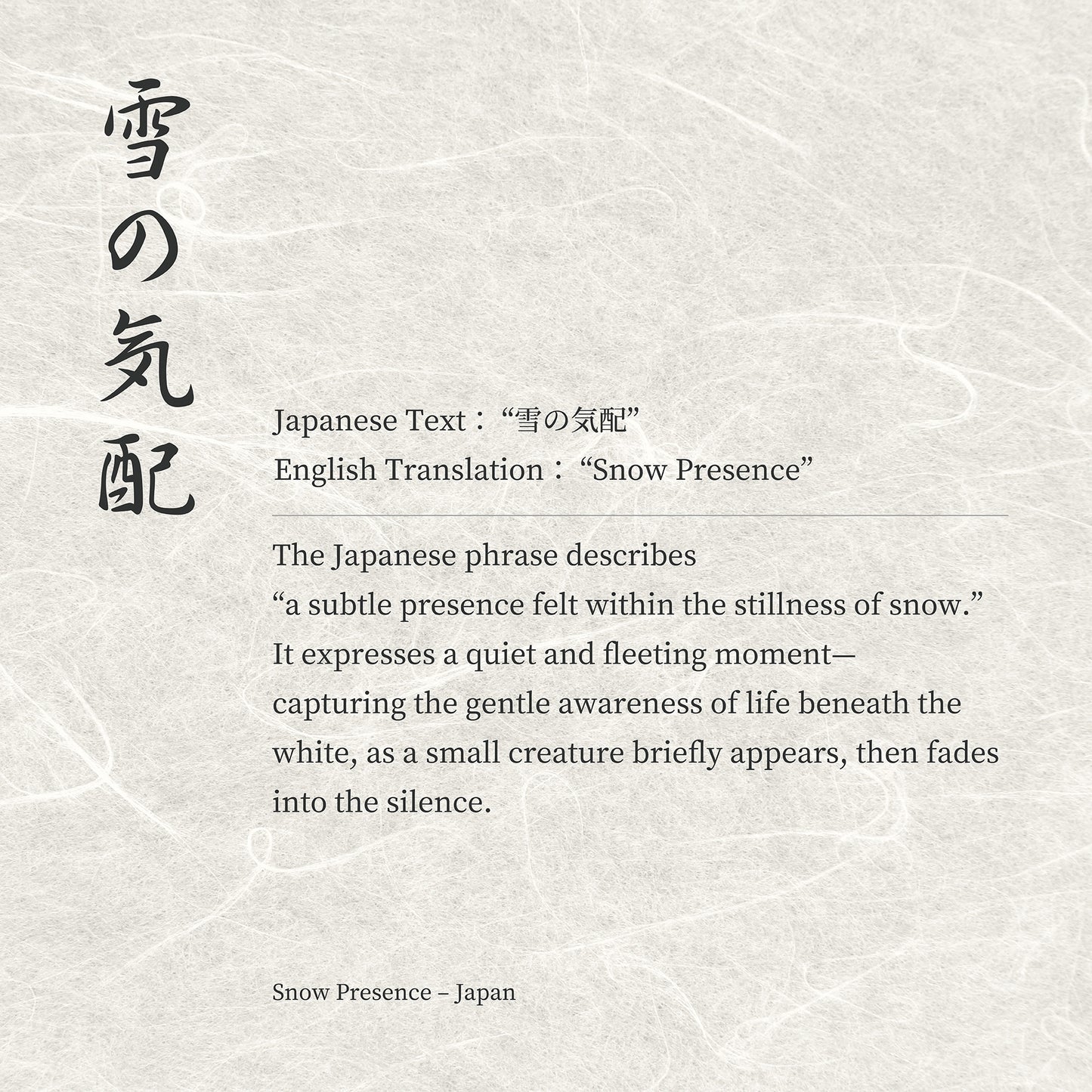 Snow Presence – Japanese Ermine Wall Art Print (3:4 Edition)