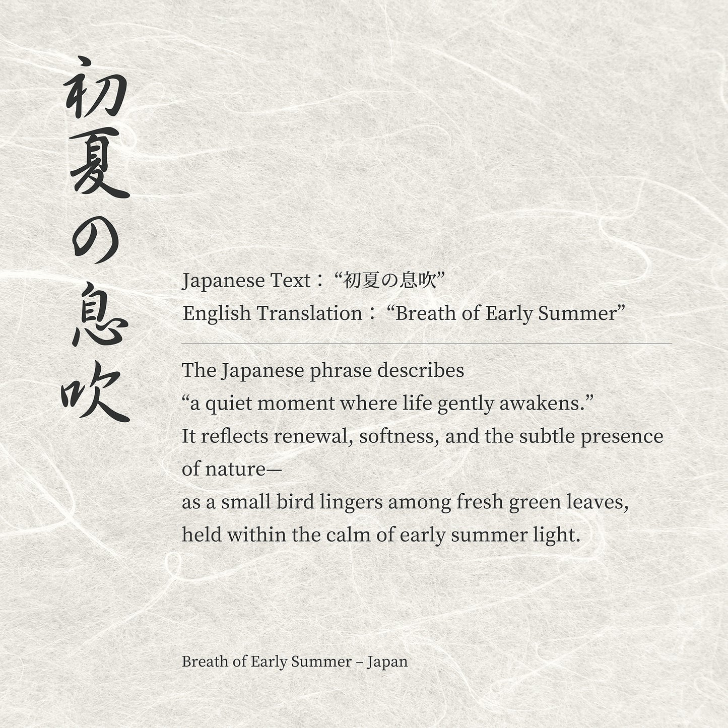 Breath of Early Summer – Japanese Mejiro Bird Wall Art Print (2:3 Edition)