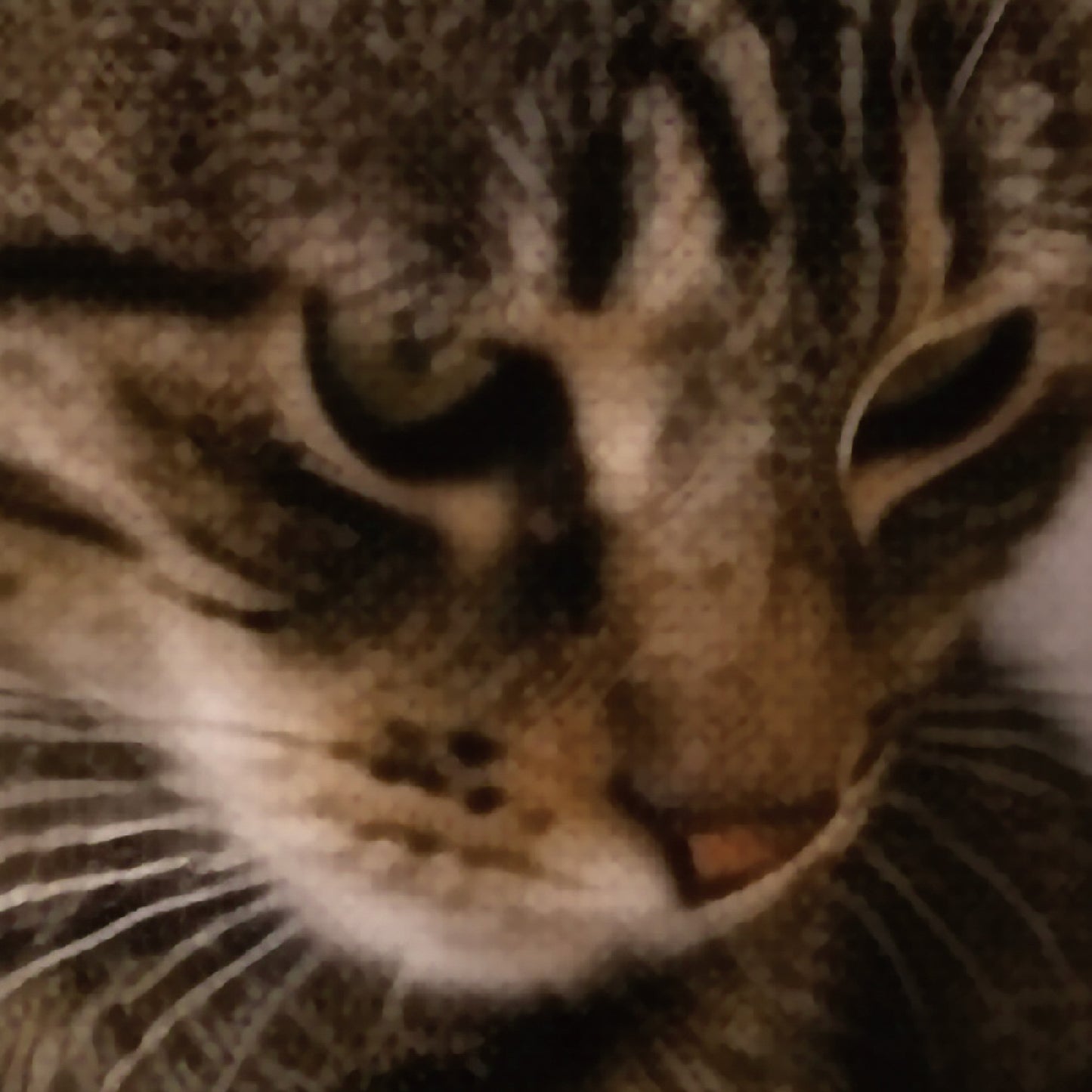 Lucky Companion – Japanese Maneki Neko & Tabby Cat Wall Art Print (2:3 Edition)